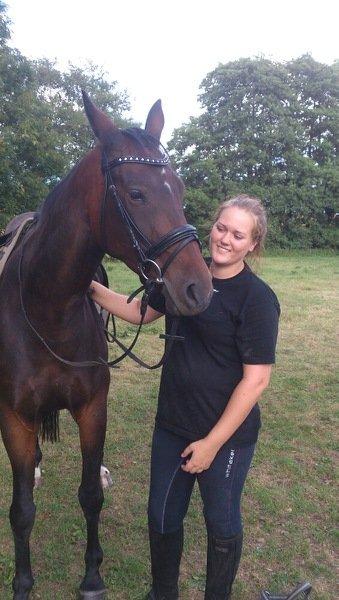 Dansk Varmblod Olympia billede 14