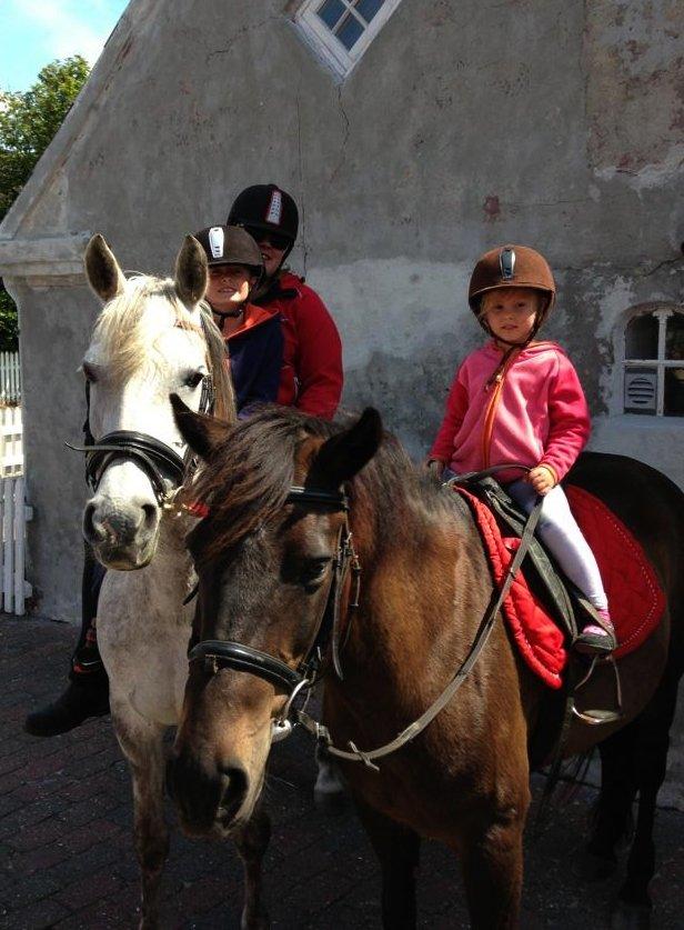 New Forest Sandagers Sir Giant // Sputnik - Vi var lige hjemme forbi huset en tur. ;-) billede 9