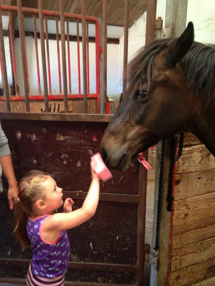 New Forest Sandagers Sir Giant // Sputnik - Sputnik bliver lige vasket på mulen af Signe. ;-) billede 13