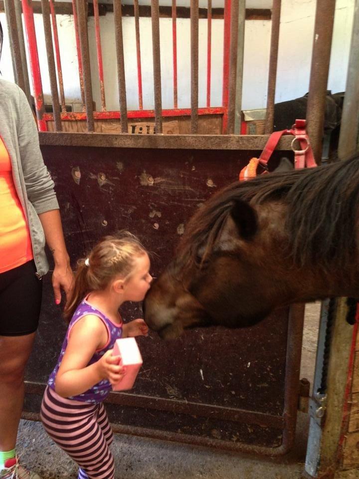 New Forest Sandagers Sir Giant // Sputnik - Møøøs! billede 3