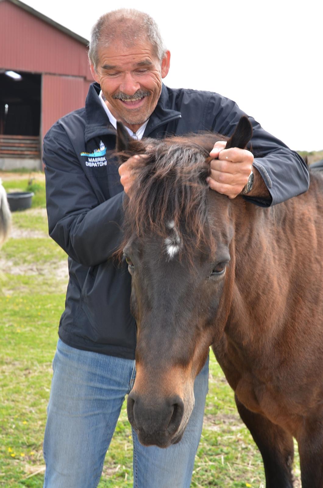 New Forest Sandagers Sir Giant // Sputnik - Far og Sputnik hygger. :-) billede 11
