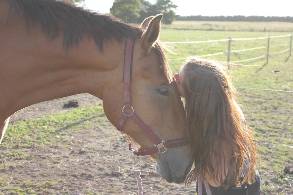 Anden særlig race Lucas (Min bedsteven)<3:-* - Elsker dig virkelig, du er det bedste der er sket for mig!<3
Taget af: Mette Elkjær billede 13