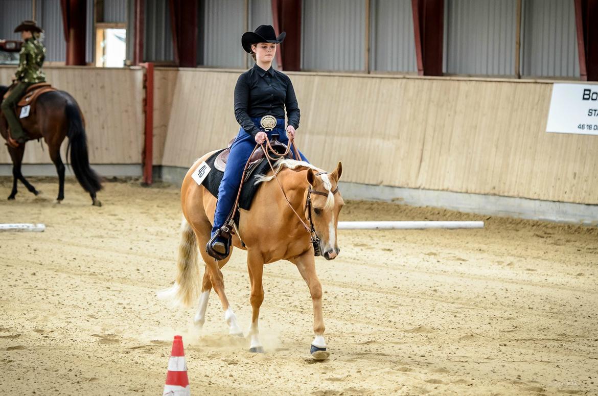 Quarter Roosters Final Pine - Youth Horsemanship. Ride In, Juni 2013. Foto: Sewell billede 7
