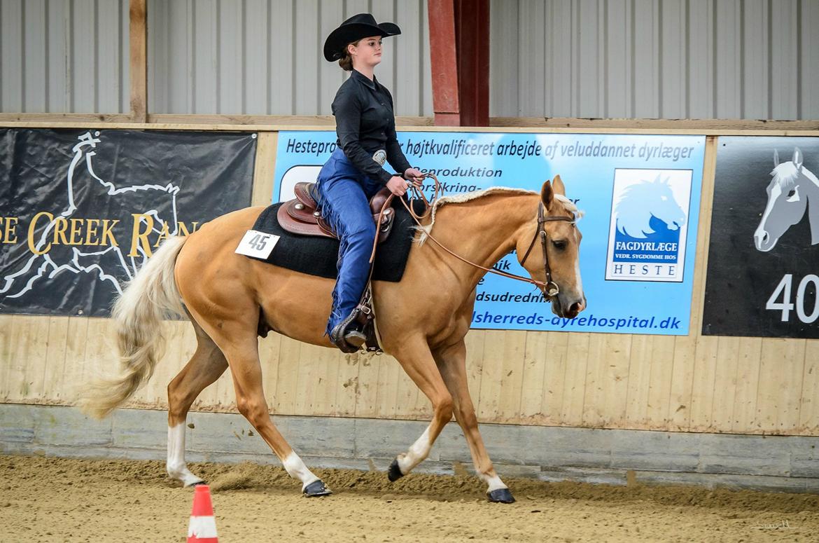 Quarter Roosters Final Pine - Youth Horsemanship. Ride In, Juni 2013. Foto: Sewell billede 8