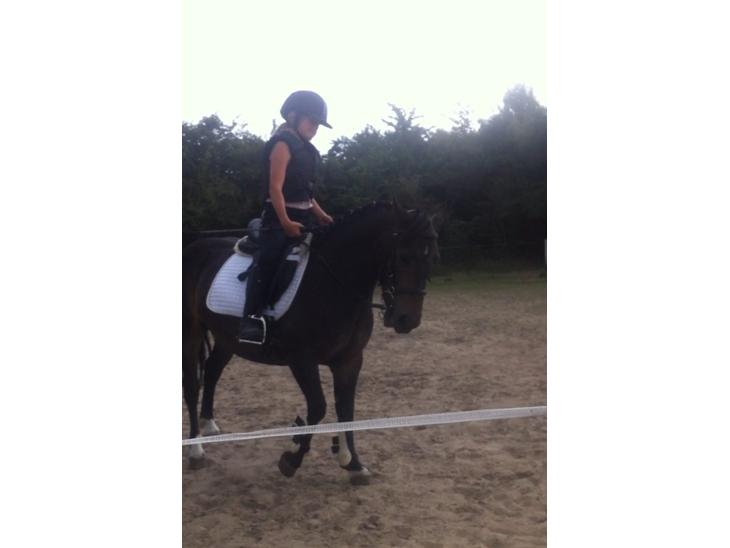 {{currentPhoto.altText}} billede {{currentPhoto.number}}