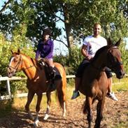 Fuldblod (XX) James Bond "Bonni"