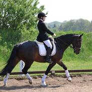 Oldenborg Prins Alexander af Skovlyst