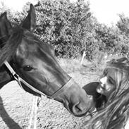 Anden særlig race Latisha