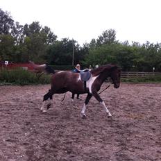 Anden særlig race Tarzan "solgt"