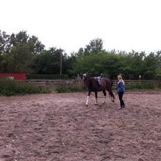 Anden særlig race Tarzan "solgt"