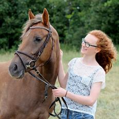 DSP Kærvangs GoldenFox