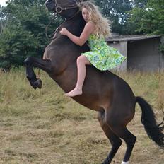 Anden særlig race Yasmin