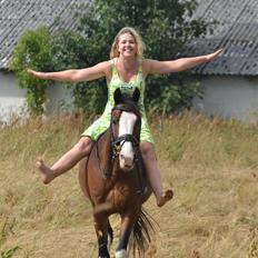 Anden særlig race Sharon