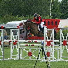Hollandsk Sportspony Bassy A-pony 