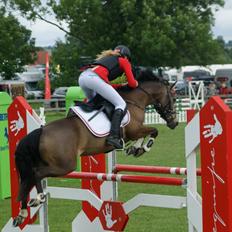 Hollandsk Sportspony Bassy A-pony 