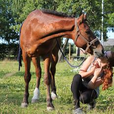 New Forest Kjølens Frigger