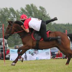 Anden særlig race Walter