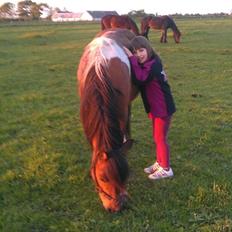 Anden særlig race Cesse (jenny)