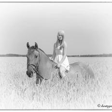 Anden særlig race RONALDO