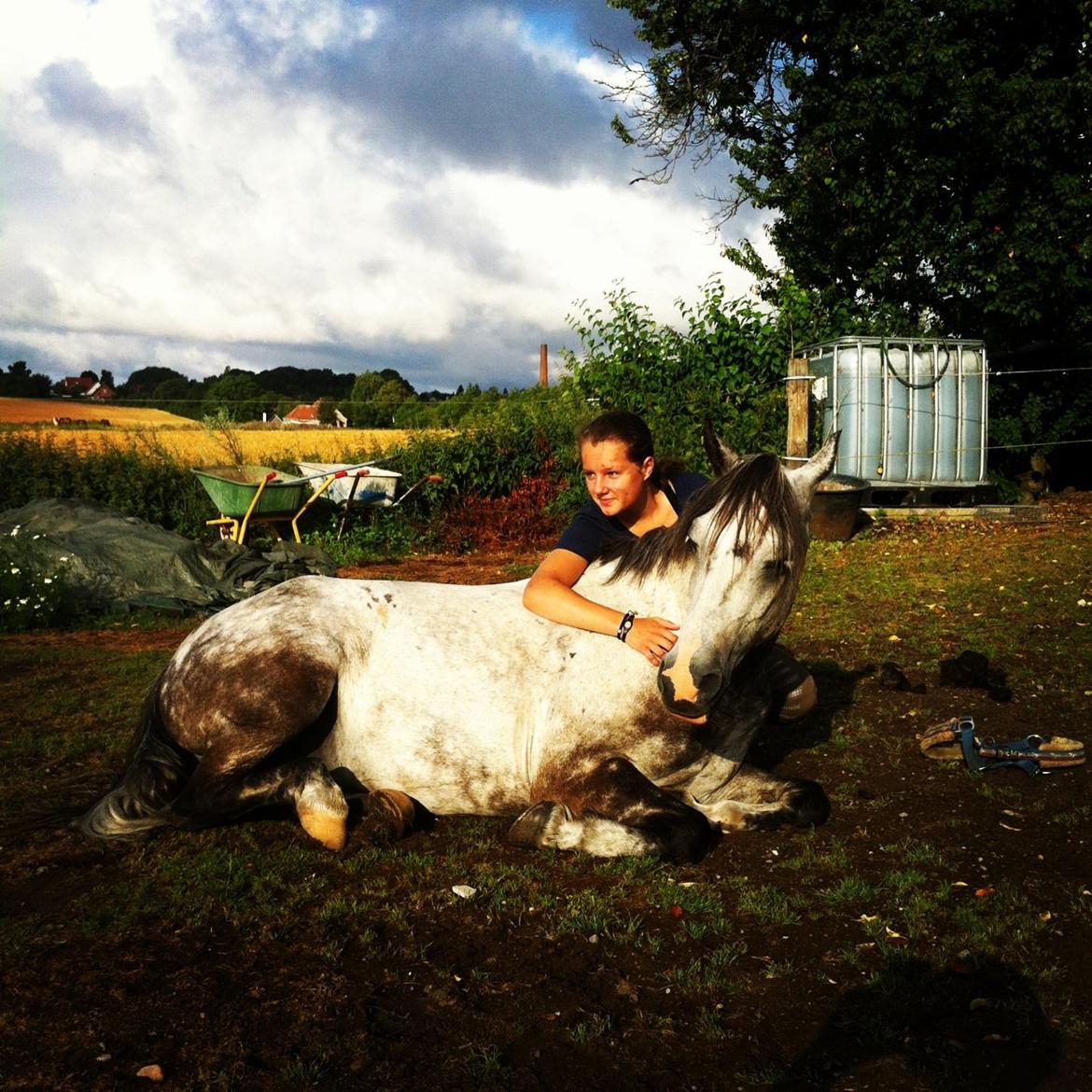 Anden særlig race Armani - B-pony - It didn't matter how many times I got knocked on the floor
But you knew one day I would be standing tall
Just look at us now. billede 6