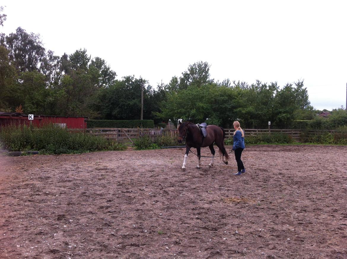 Anden særlig race Tarzan "solgt" billede 2