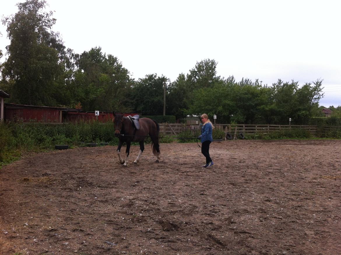 Anden særlig race Tarzan "solgt" billede 9