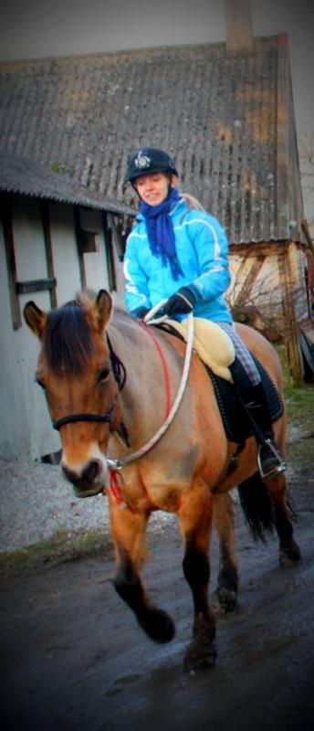 Anden særlig race La Chevalle billede 3