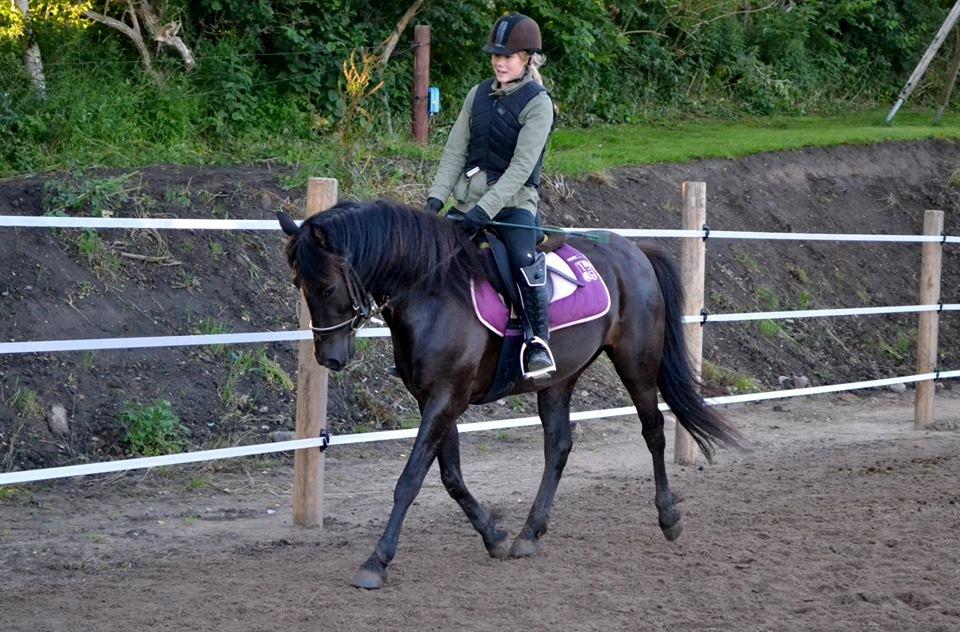 Anden særlig race smilla billede 1
