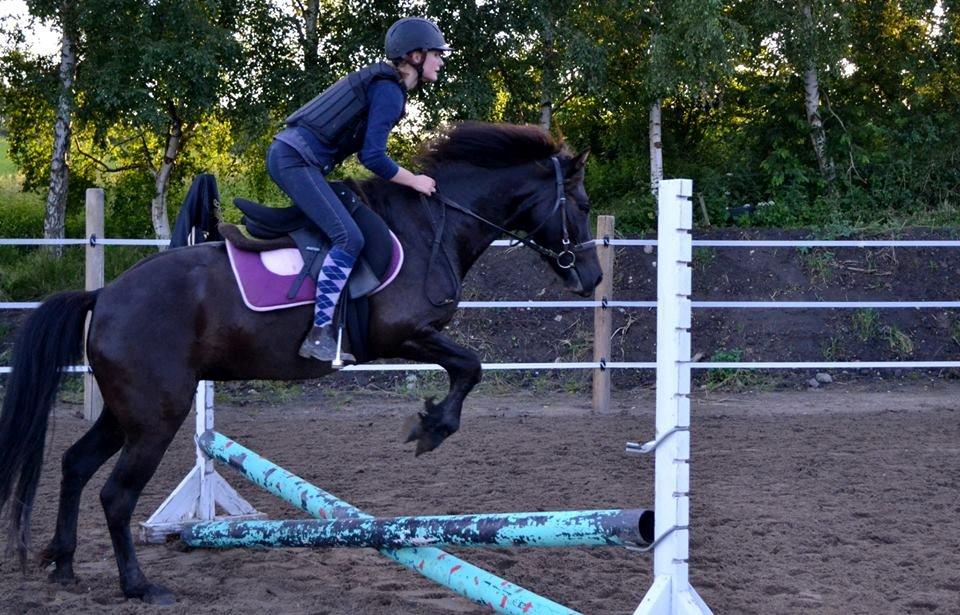 Anden særlig race smilla billede 5