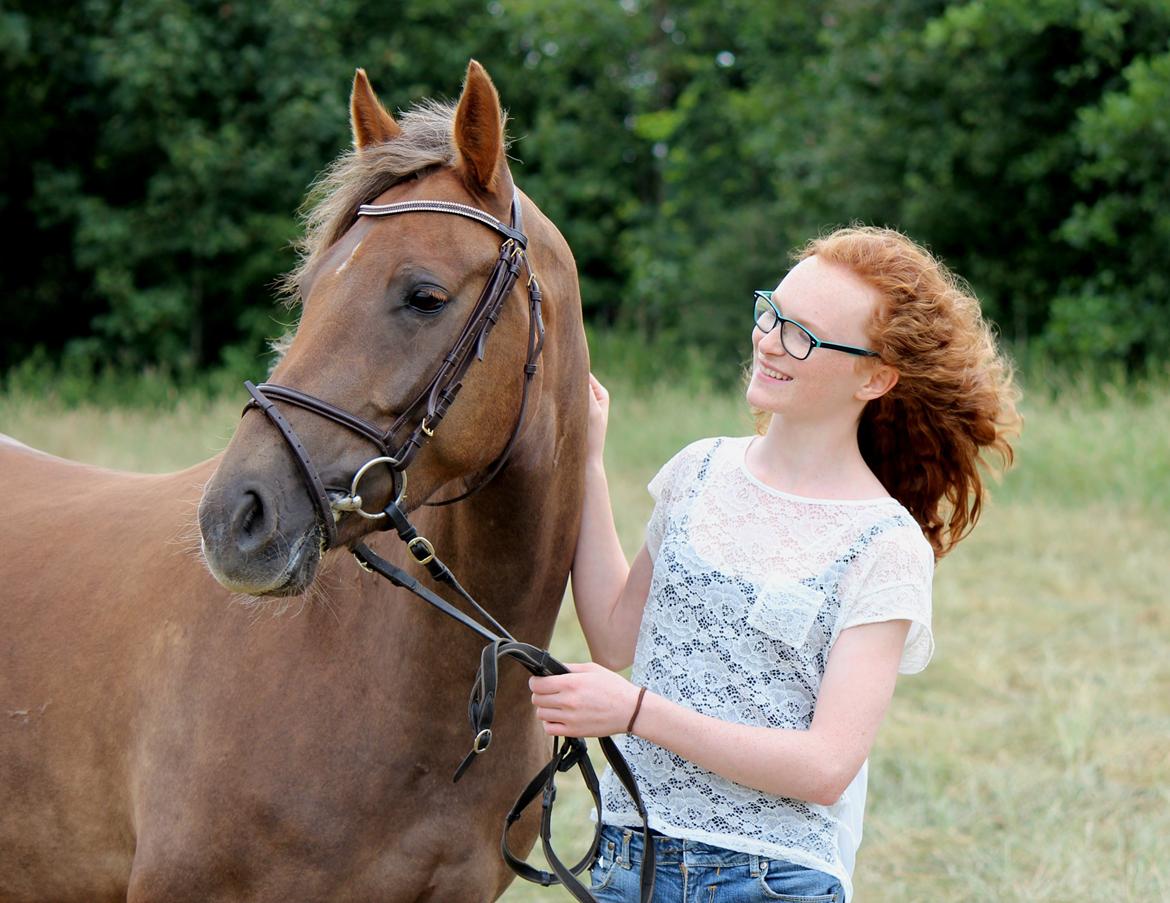 DSP Kærvangs GoldenFox billede 3