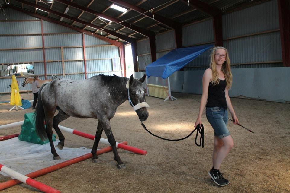Anden særlig race Milo<3 *SOLGT* - Hej bølle <3 <3 billede 9