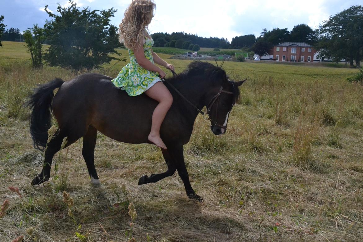 Anden særlig race Yasmin billede 4