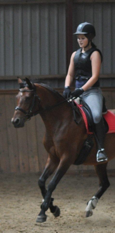 DSP Vasehøjs Zahrina - SPRIIIING :D 
Glad lille pony billede 12