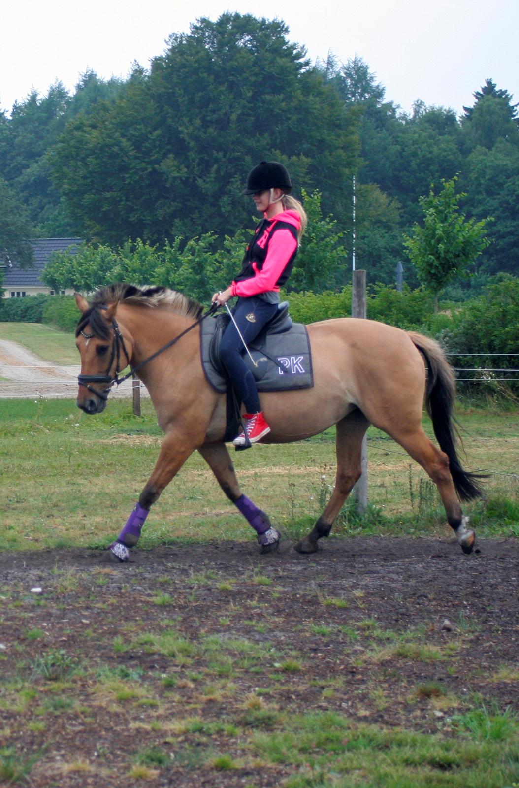 Anden særlig race Luna  - Min lækre pony! :D billede 9