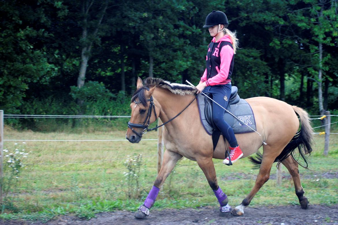 Anden særlig race Luna  - Dejlig pony! <3
 billede 13