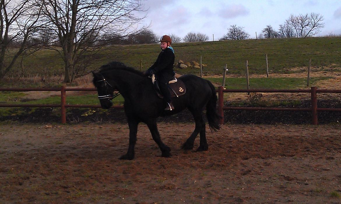 Frieser Geartsje Tjimske K. billede 8