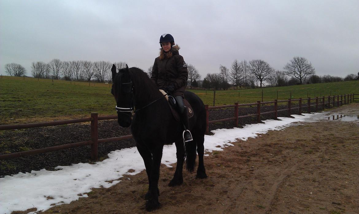 Frieser Geartsje Tjimske K. billede 9