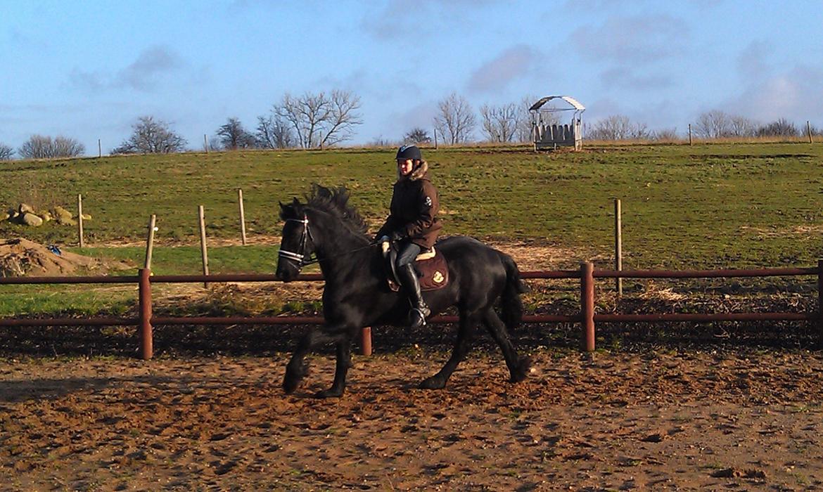 Frieser Geartsje Tjimske K. billede 10