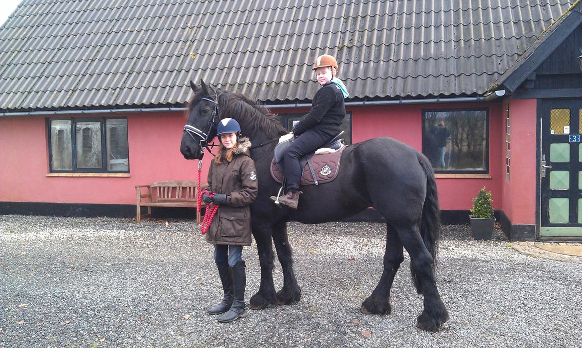 Frieser Geartsje Tjimske K. billede 12