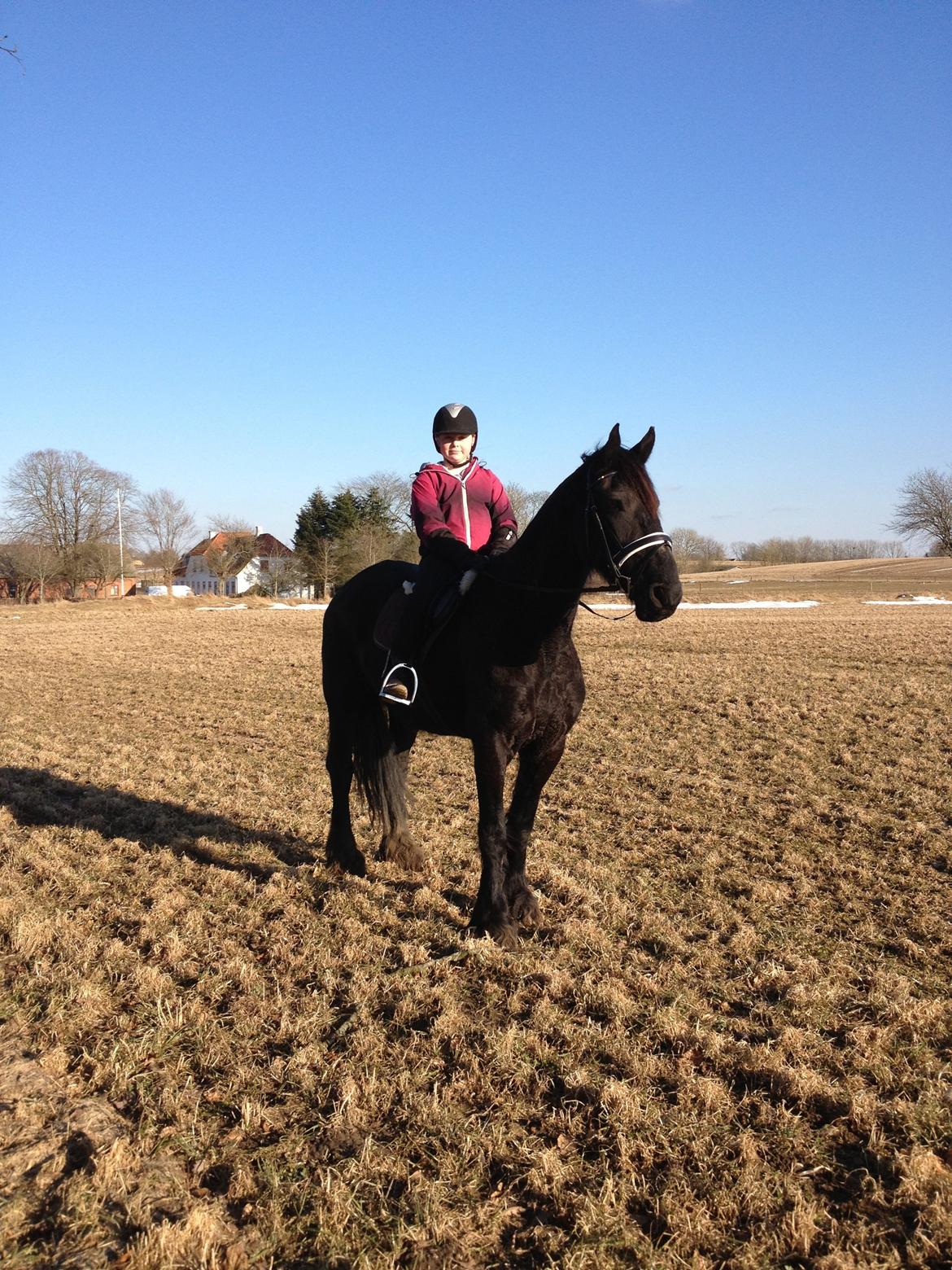 Frieser Geartsje Tjimske K. billede 19