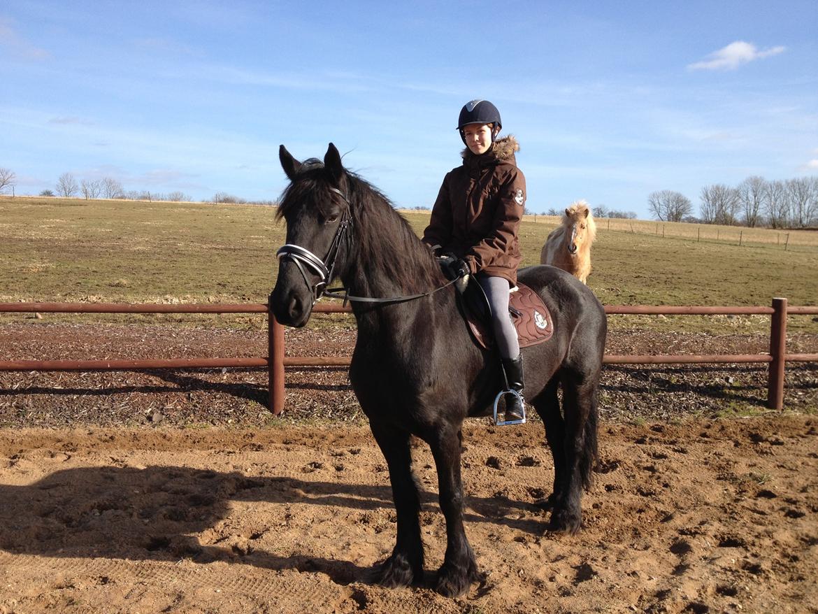 Frieser Geartsje Tjimske K. billede 20