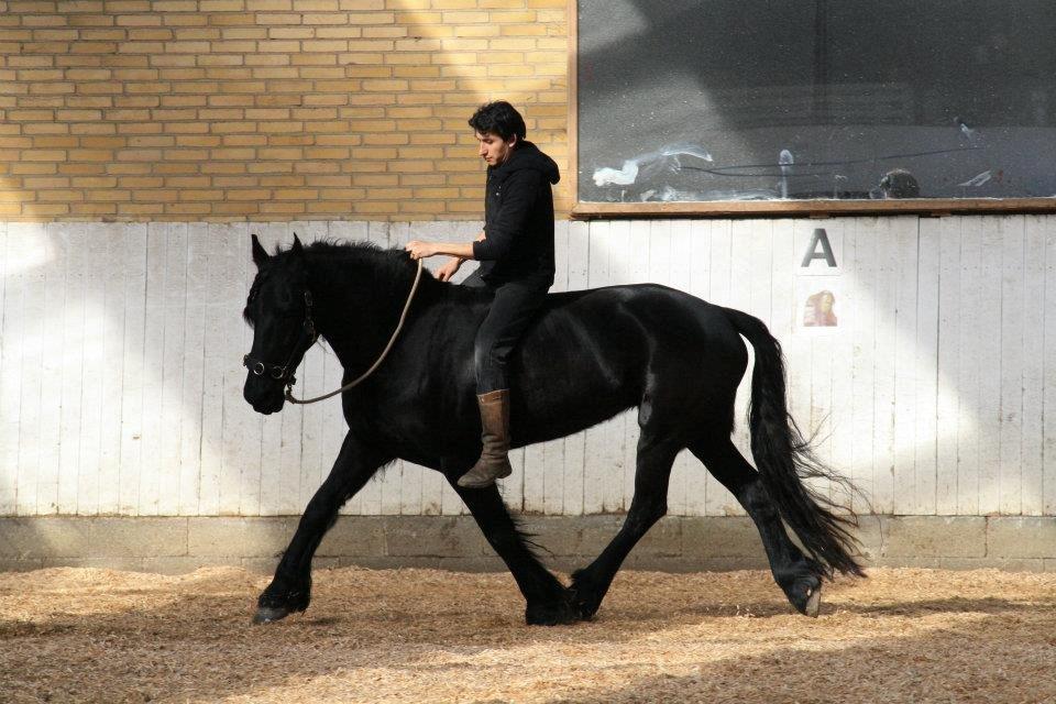 Frieser Gemke W - jeg var væk 4 min og kom tilbage til dette harmoniske syn... billede 22