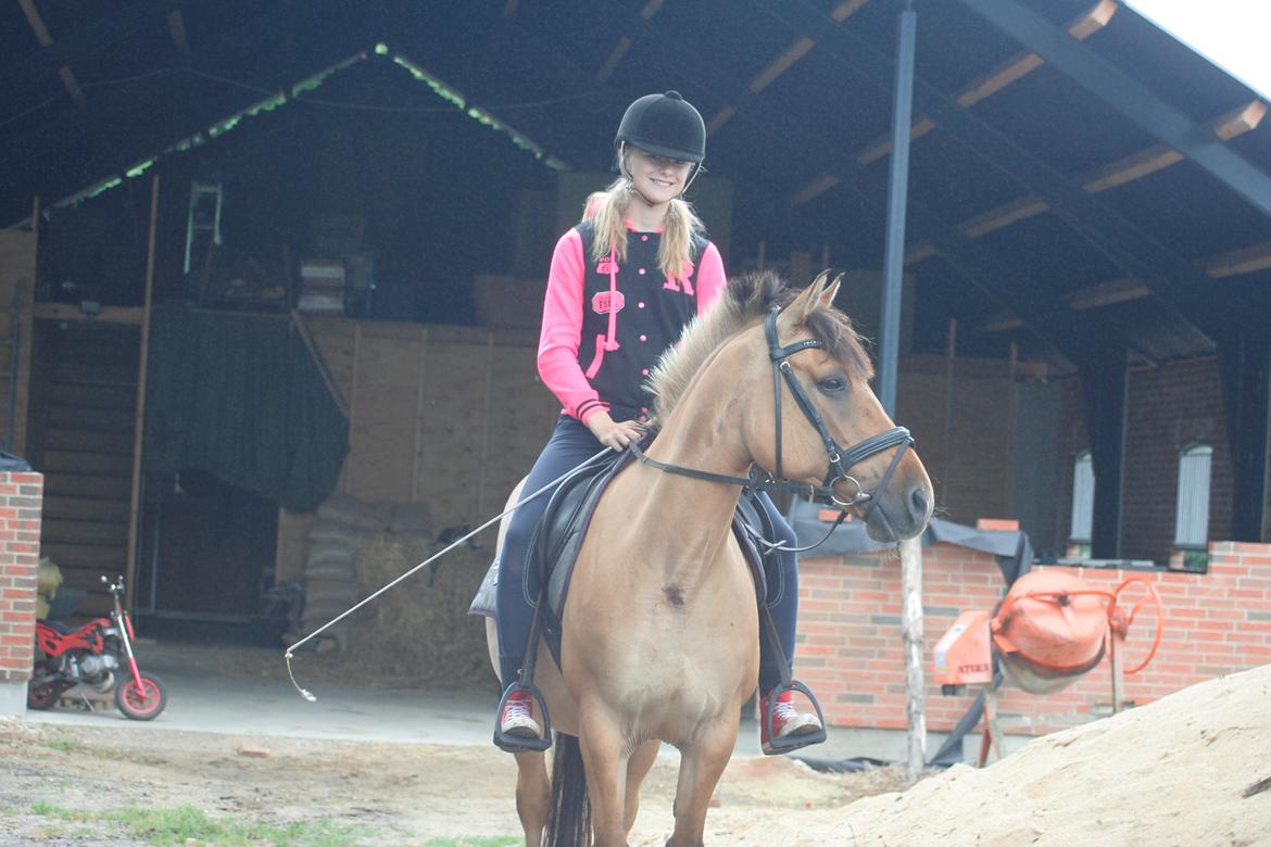 Anden særlig race Luna  - The perfect two! <3 billede 11