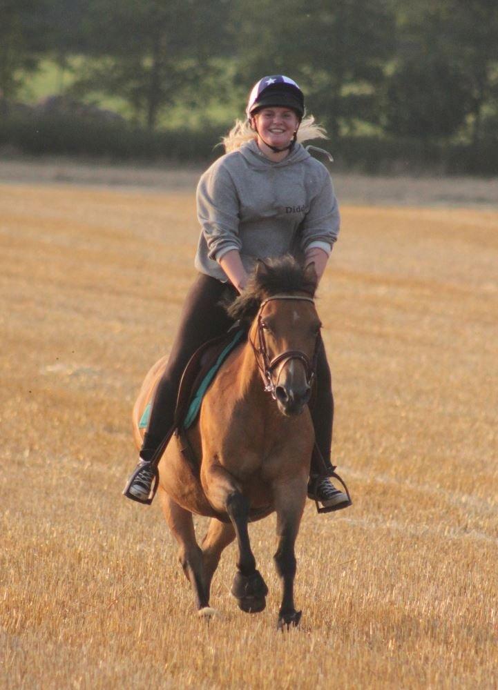 Hollandsk Sportspony Jasmijn - Galop på marken 01-08-2013 billede 8