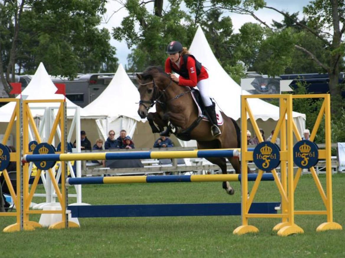 Hollandsk Sportspony Bassy A-pony  billede 13