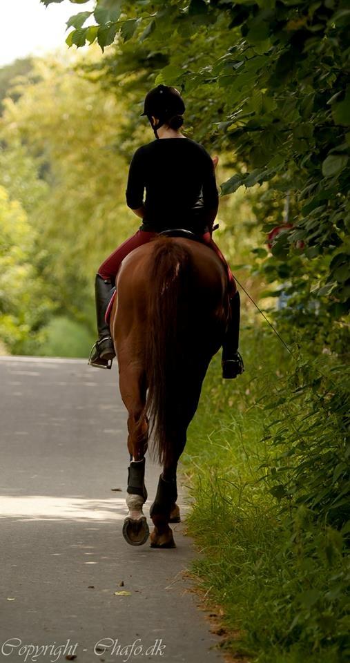 Holstener Le Poul - Tak for kigget, læg gerne bedømmelse og kommentar :) billede 25
