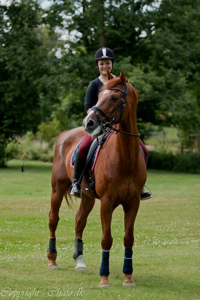 Holstener Le Poul - Velkommen til Poul's profil :)  billede 2