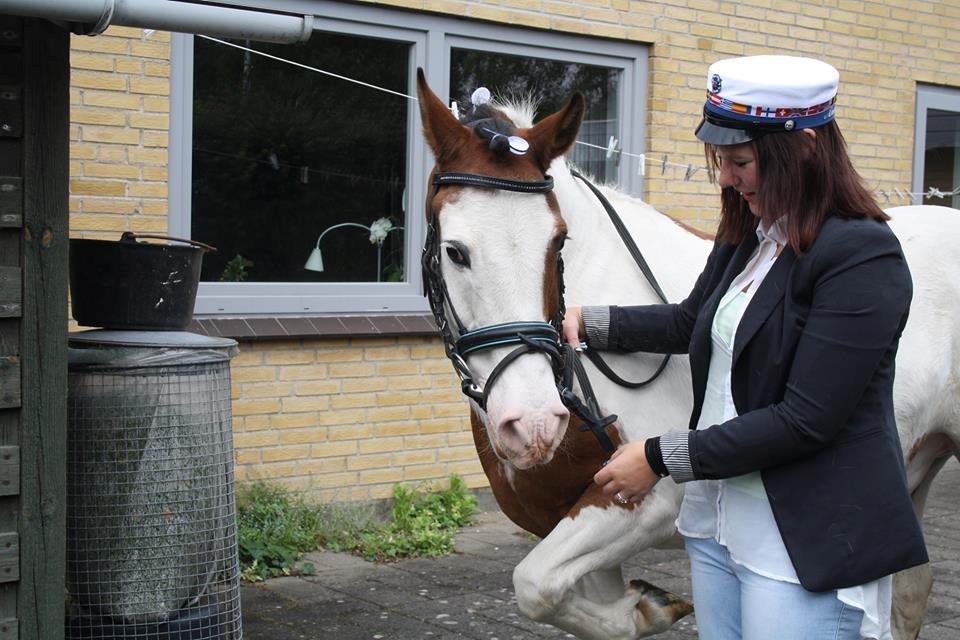 Anden særlig race Valentino - Student 2013 - Valle <3 billede 14