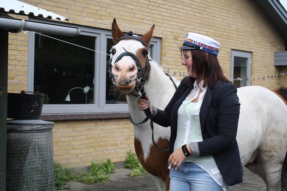 Anden særlig race Valentino - Student 2013 - fjollepony! <3 billede 12