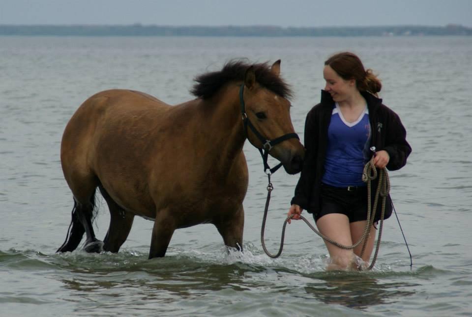 New Forest Lundemarksgårds Solist - Solist & Sofie på stranden forår 2013 billede 1